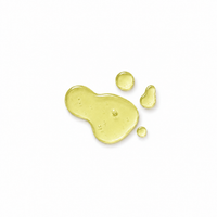 Another Soul Concentrate Oil- With Similar Fragrant Notes to Love Don't Be Shy